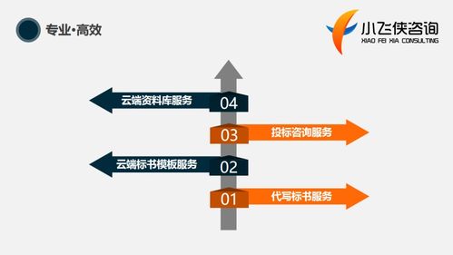 东方市标书制作与咨询服务优选——小飞侠标书公司