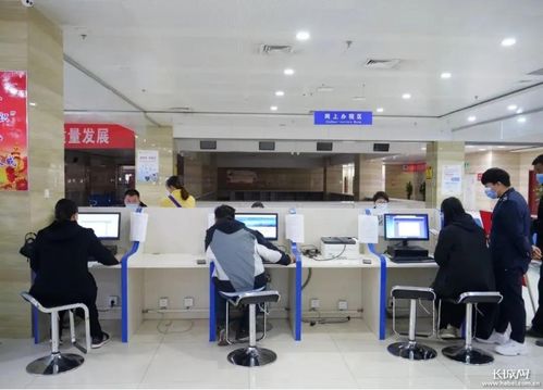 辛集 以一流营商环境助推经济社会高质量发展